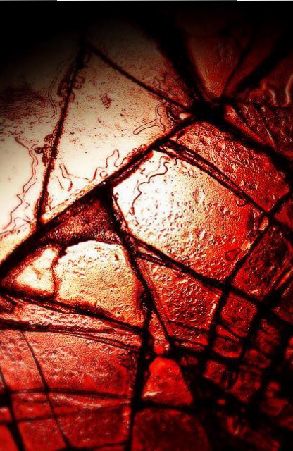 11138091_10153298841777156_6079113143745710461_n