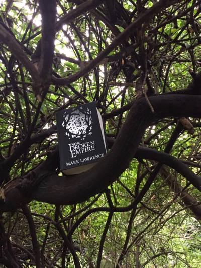 15940568_10154922214972156_9023159118255397155_n