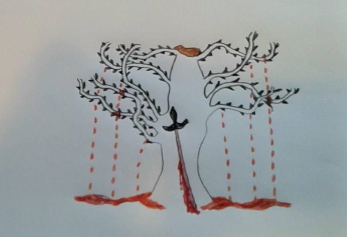 16523174_10158178083675506_1556930435_o