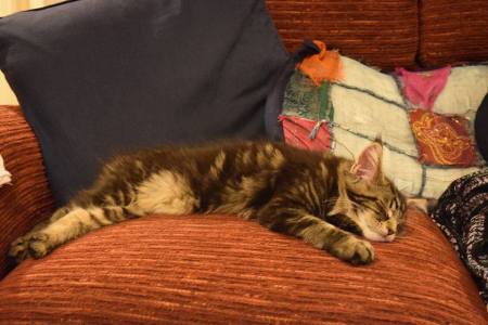 1918891_1078479508863424_8438765852461966728_n